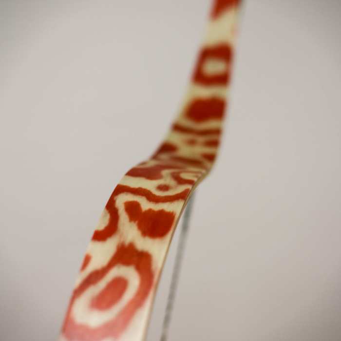 a7723b5a5d6ed42bc29a4d80178aa54b.png