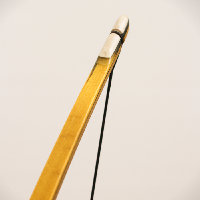 cf5ad58c034a14f4278a44cea466f1f8.png