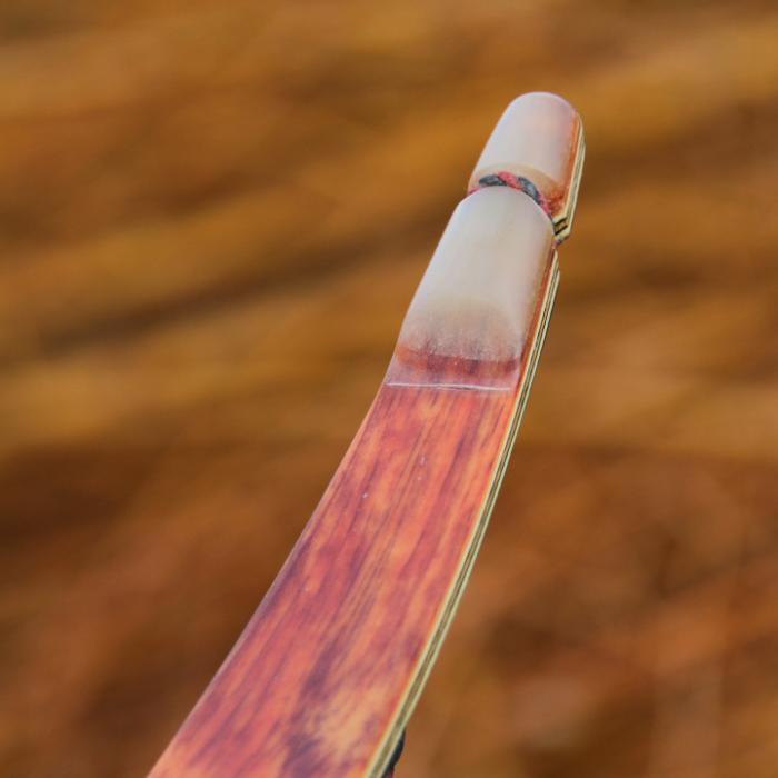 34c5bcd223db0c1cb2dadf6caeeddd70.png