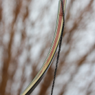 c5ae31ee0e6f5dd0aaa1a4fa184a2259.png